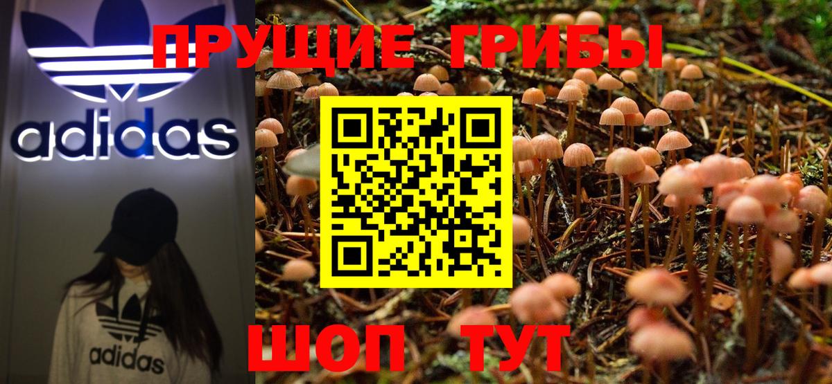 Псилоцибиновые грибы MAGIC MUSHROOMS  Вход с VPN  Городец 